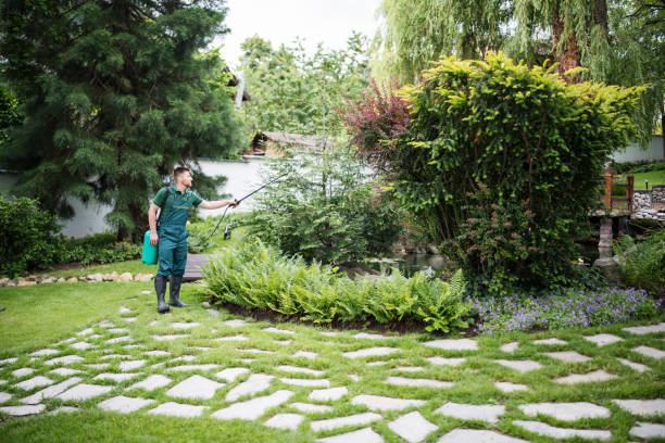 Best Local Pest Control Services  in Claypool Hill, VA