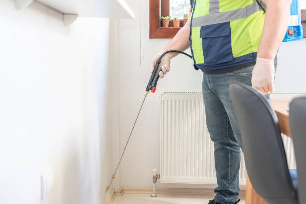 Best Wasp Removal Services  in Claypool Hill, VA